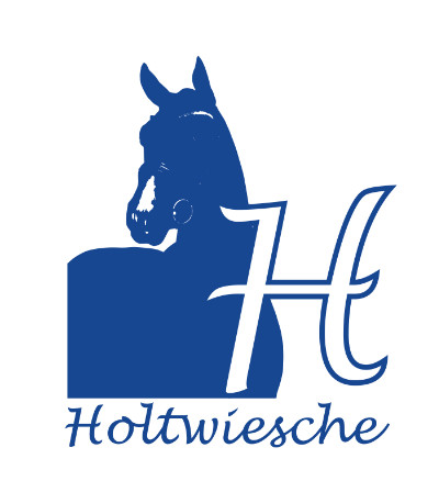 Hengststation und Ausbildungsstall Holtwiesche